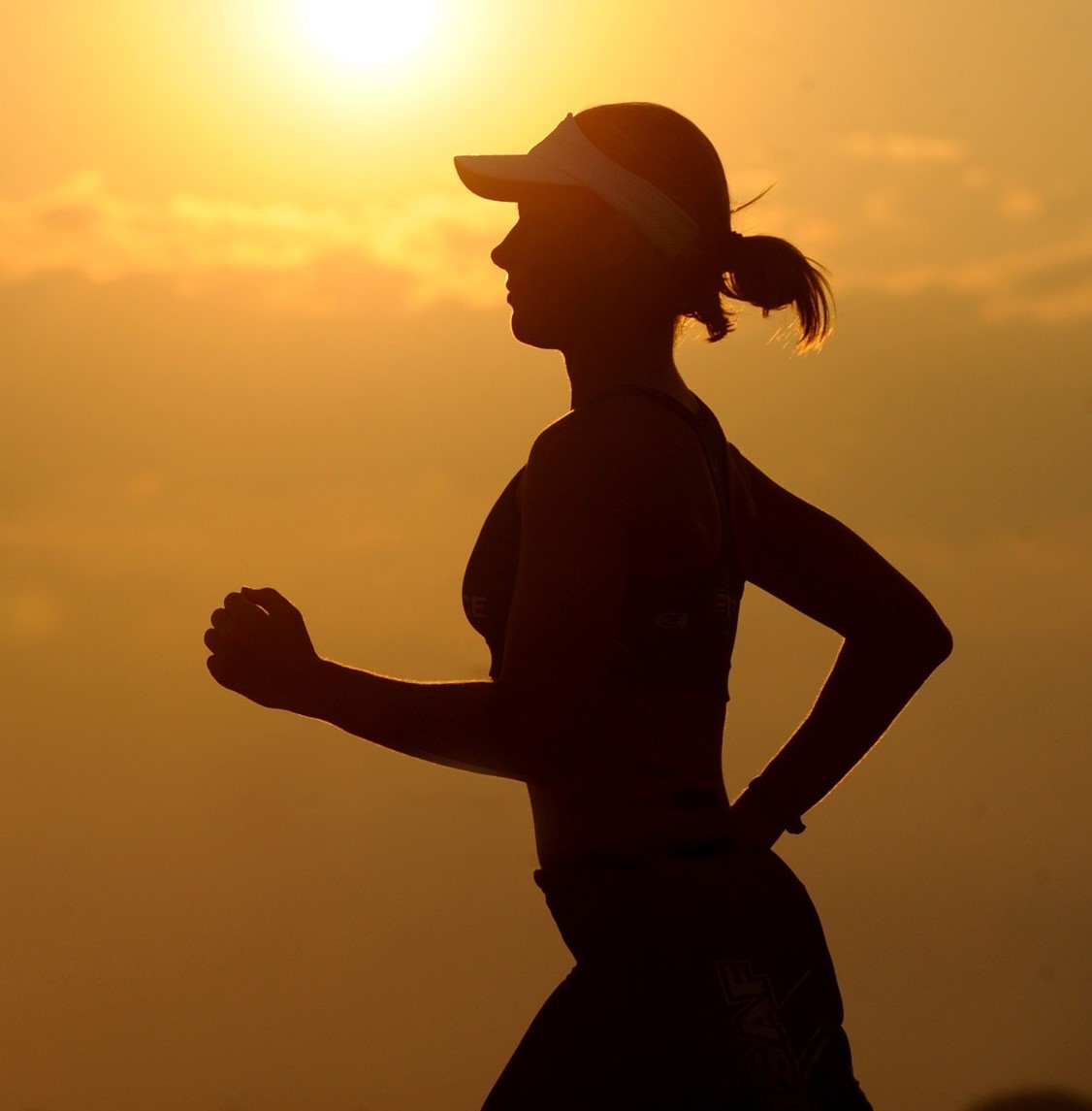 Honing en Sport